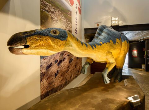 Los mejores museos de dinosaurios en España Dinomaniacos