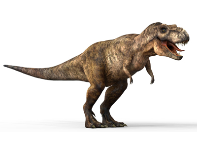 Informacion sobre El T-rex o tyrannosaurus Rex