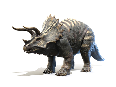 Informacion sobre el triceratops