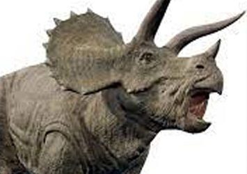 El Triceratops, un gigante de la era de los dinosaurios