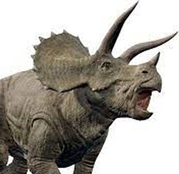 El Triceratops, un gigante de la era de los dinosaurios
