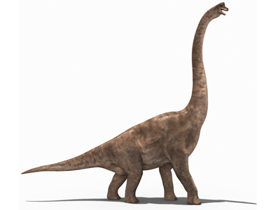 Informacion sobre el Brachiosaurio