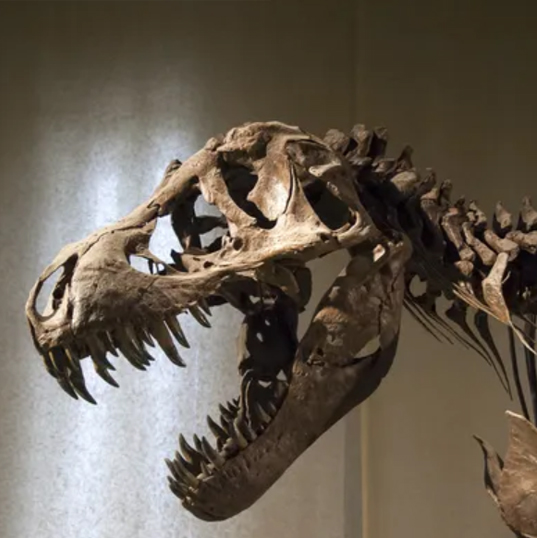 Museos de dinosaurios en España