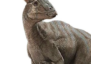 El Parasaurio, el dinosaurio de cabeza de tubo