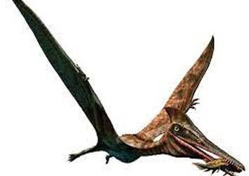 El Pterodáctilo: el rey de los cielos en el Mesozoico