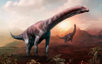 Los 10 dinosaurios más pesados que han existido en la historia de nuestro planeta