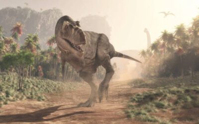 Características de los dinosaurios carnívoros y su periodo de existencia