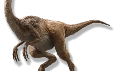 Los dinosaurios mas rápidos y veloces de la historia
